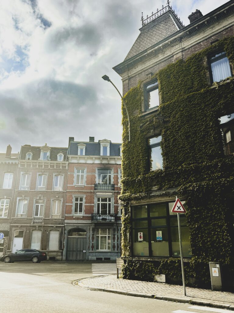 Mithilfe von KI-Daten lässt sich ermitteln, welche Stadtteile in Lüttich sich am besten für Immobilieninvestitionen eignen, die auf die Vermietung an Touristen abzielen